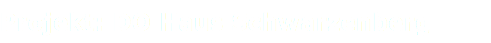 Projekt: DO Haus Schwarzenberg 