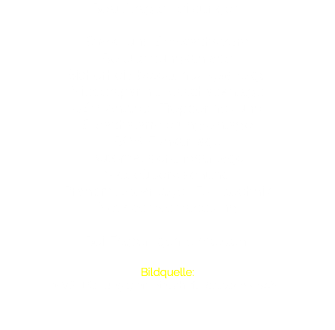 Beauftragte Leistungen: Stark- und Schwachstrom Beleuchtungsanlage Sicherheitsbeleuchtungsanlage Niederspannungsschaltanlage USV-Anlage · Treppenheizung Sprachalarmierungsanlage BOS-Funkanlage Automatisierungsanlage Videoüberwachung Brandmeldeanlage · Funktechnik Netzwerkverkabelung Bei Fragen gerne melden! Bildquelle: MVG, Planungsgemeinschaft Raupach + Bohn 